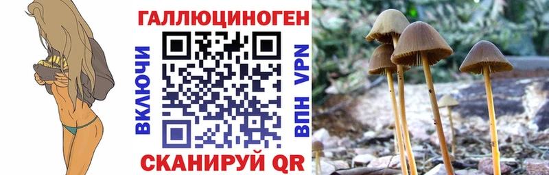 Псилоцибиновые грибы MAGIC MUSHROOMS  Клинцы 